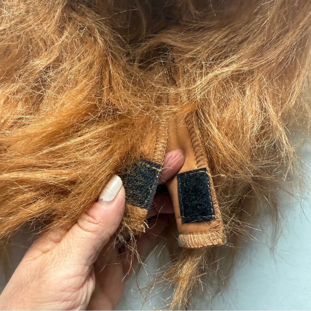 Cowardly Lion Wizard of Oz Boy Halloween Costume Realistic Mane Small 6-7 - Picture 9 of 16
